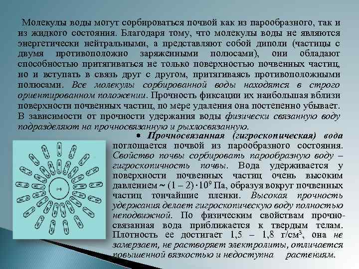 Молекулы воды могут сорбироваться почвой как из парообразного, так и из жидкого состояния. Благодаря