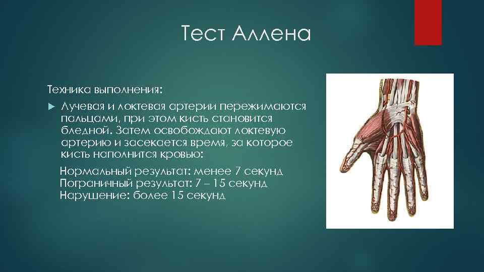 Тест Аллена Техника выполнения: Лучевая и локтевая артерии пережимаются пальцами, при этом кисть становится