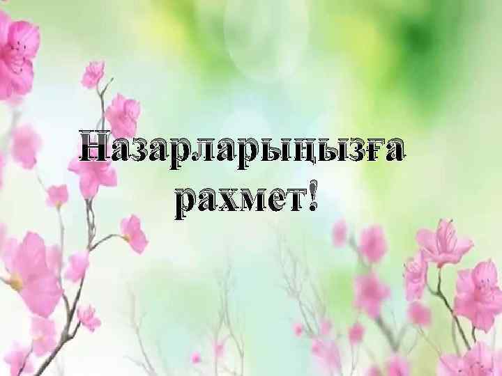 Назарларыңызға рахмет! 