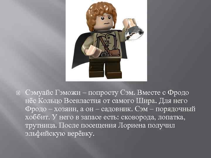  Сэмуайс Гэможи – попросту Сэм. Вместе с Фродо нёс Кольцо Всевластия от самого