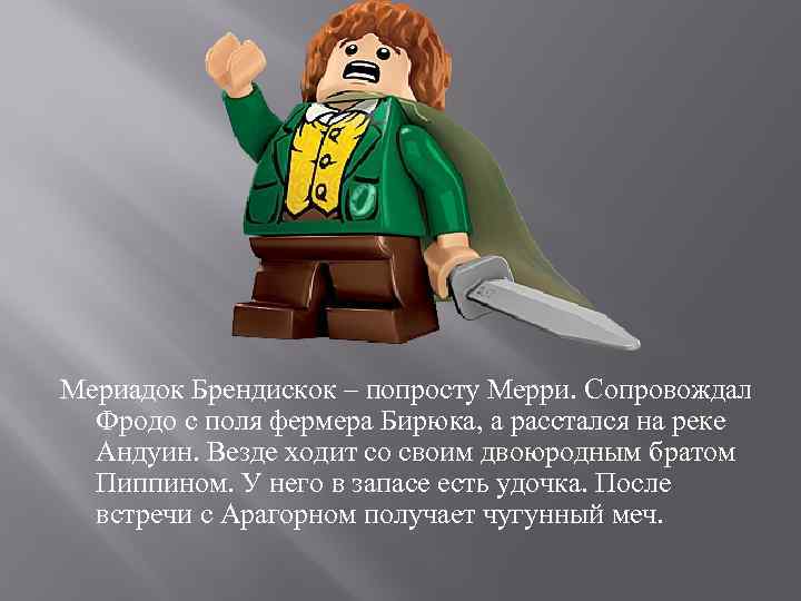 Мериадок Брендискок – попросту Мерри. Сопровождал Фродо с поля фермера Бирюка, а расстался на