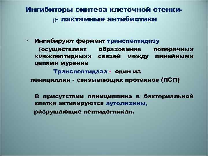 Ингибиторы синтеза клеточной стенкиᵦ- лактамные антибиотики • Ингибируют фермент транспептидазу (осуществляет образование поперечных «межпептидных»