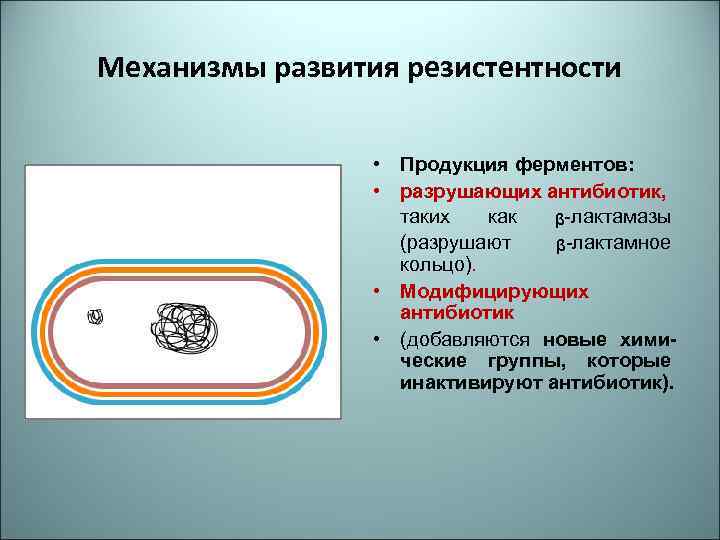Механизмы развития резистентности • Продукция ферментов: • разрушающих антибиотик, таких как ᵦ-лактамазы (разрушают ᵦ-лактамное