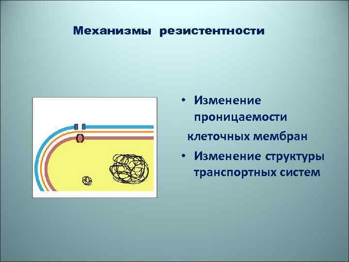 Механизмы резистентности • Изменение проницаемости клеточных мембран • Изменение структуры транспортных систем 