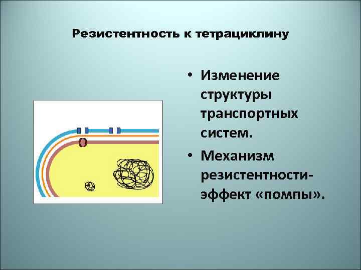 Резистентность к тетрациклину • Изменение структуры транспортных систем. • Механизм резистентностиэффект «помпы» . 