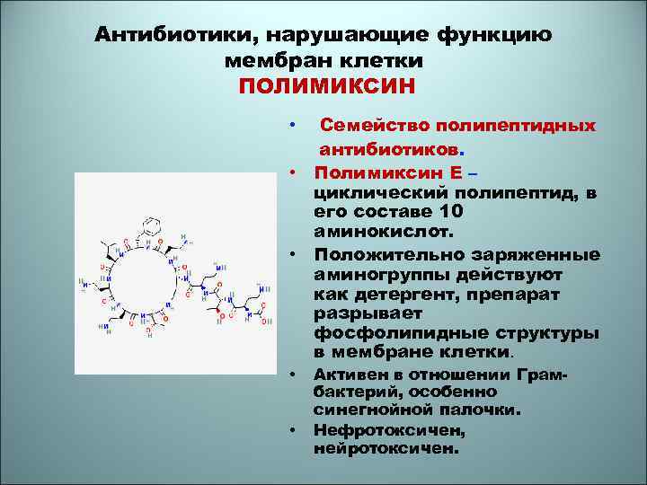 Циклические пептиды