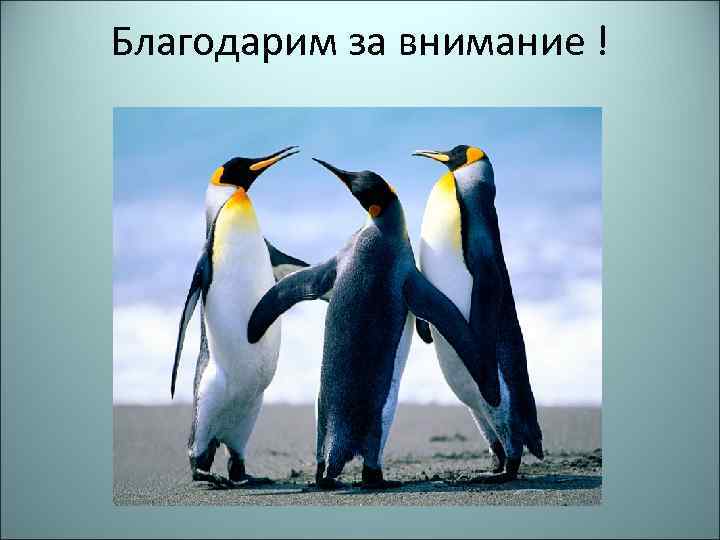 Благодарим за внимание ! 