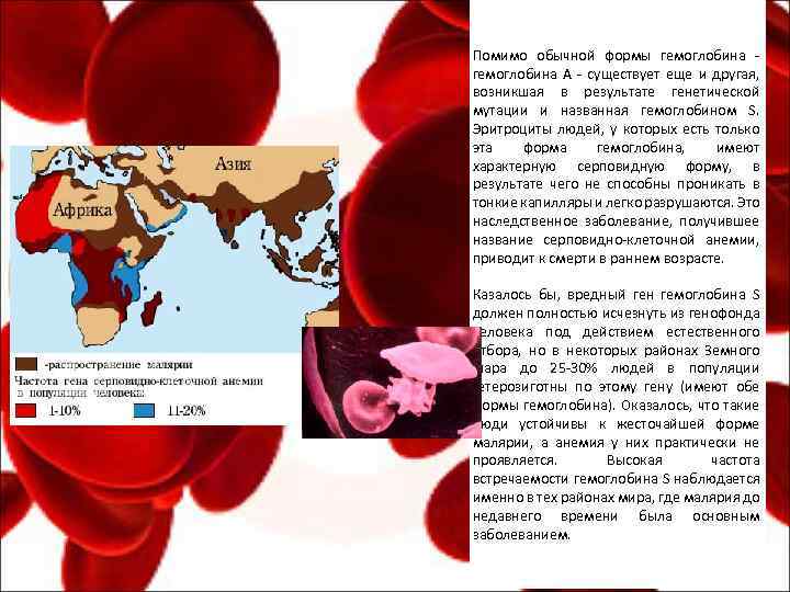 Помимо обычной формы гемоглобина - гемоглобина А - существует еще и другая, возникшая в