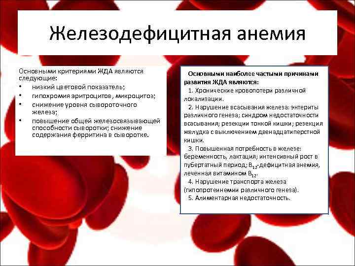 Железодефицитная анемия Основными критериями ЖДА являются следующие: • низкий цветовой показатель; • гипохромия эритроцитов,