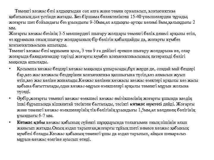  Төменгі көзжас безі алдыңғыдан сәл алға және төмен орналасып, конъюнктива қабатының дәл үстінде