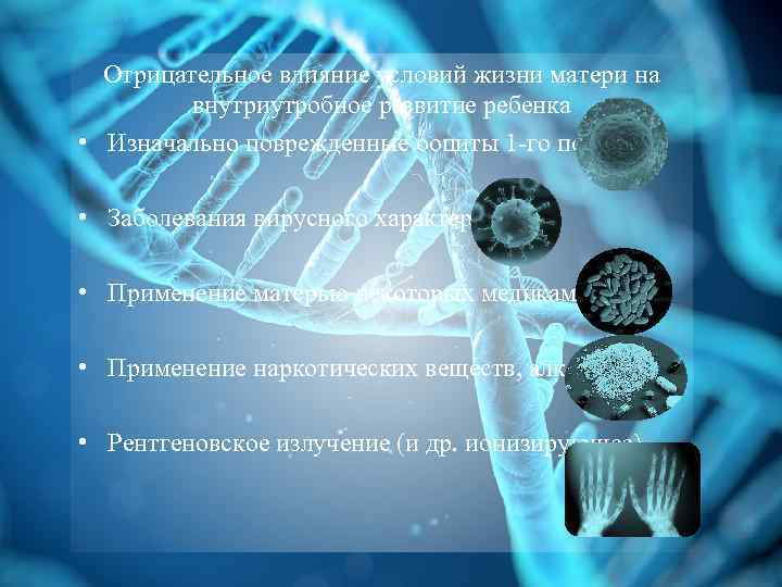 Отрицательное влияние условий жизни матери на внутриутробное развитие ребенка • Изначально поврежденные ооциты 1