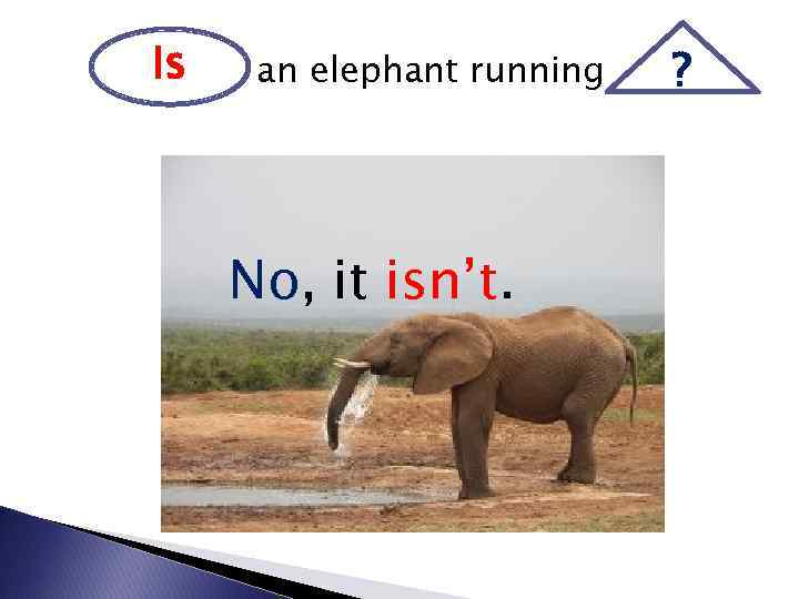 Elephant Run. Who is bigger an Elephant or a Crocodile.