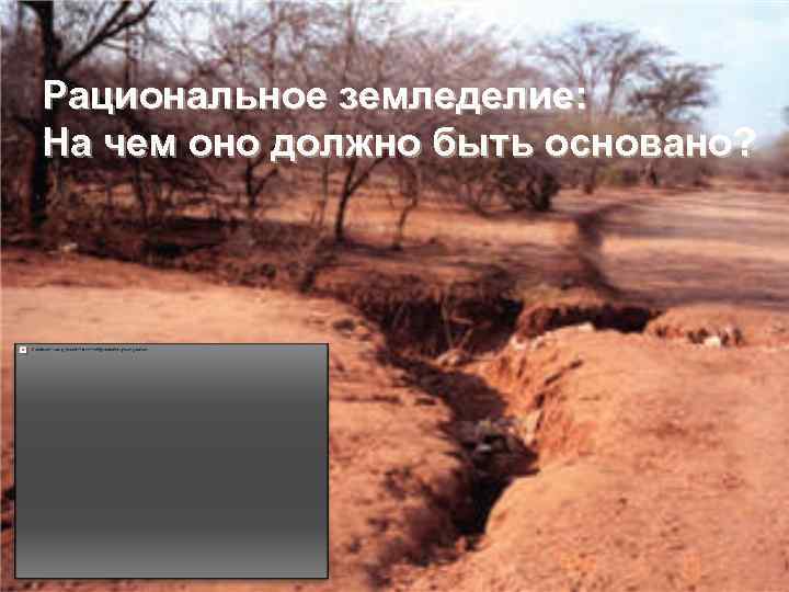 Рациональное земледелие: На чем оно должно быть основано? 