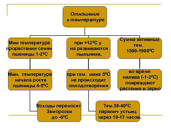 Отношение к температуре Мин температура прорастания семян пшеницы 1 -20 С при +120 С