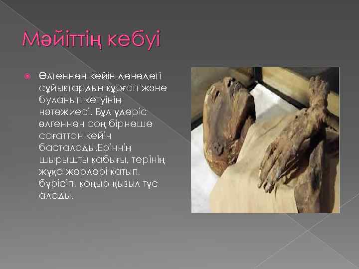 Мәйіттің кебуі Өлгеннен кейін денедегі сұйықтардың құрғап және буланып кетуінің нәтежиесі. Бұл үдеріс өлгеннен