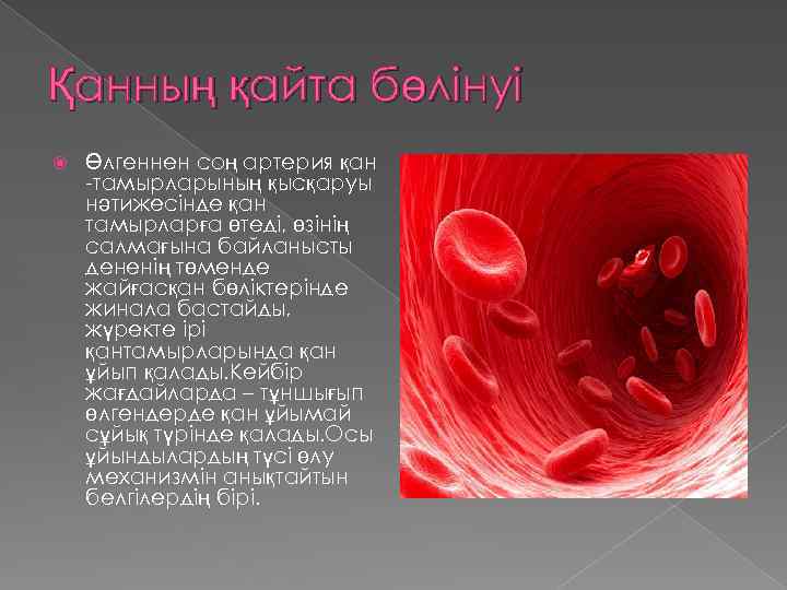 Қанның қайта бөлінуі Өлгеннен соң артерия қан -тамырларының қысқаруы нәтижесінде қан тамырларға өтеді, өзінің