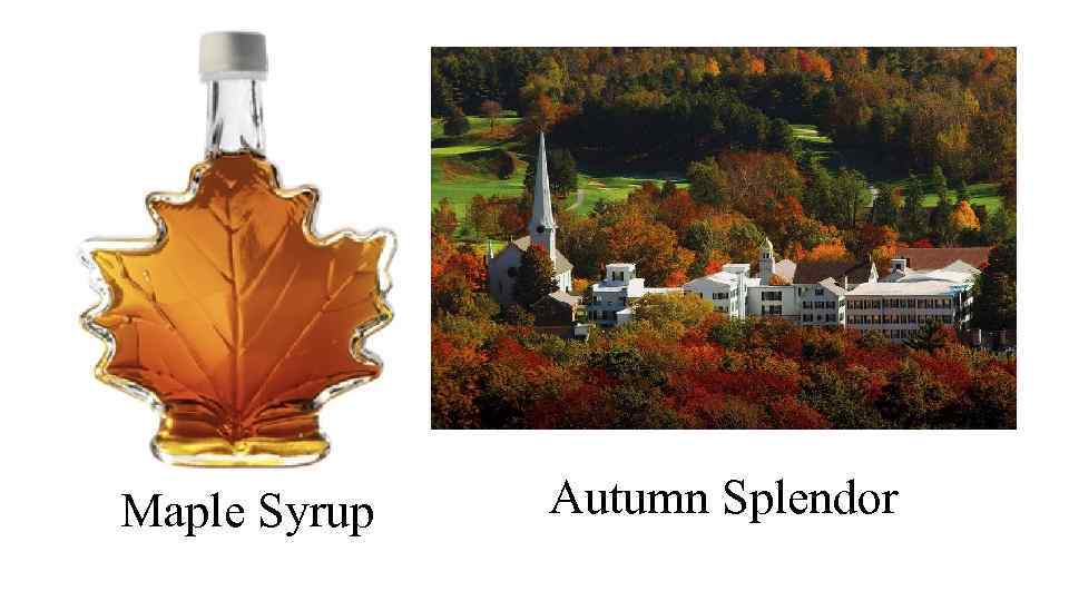 Maple Syrup Autumn Splendor 