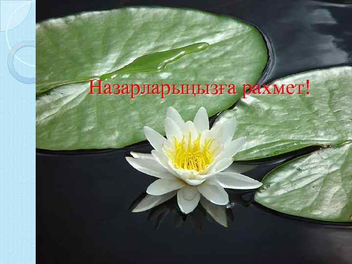 Назарларыңызға рахмет! 