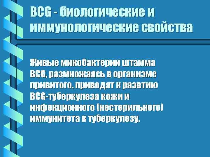 BCG - биологические и иммунологические свойства Живые микобактерии штамма BCG, размножаясь в организме привитого,
