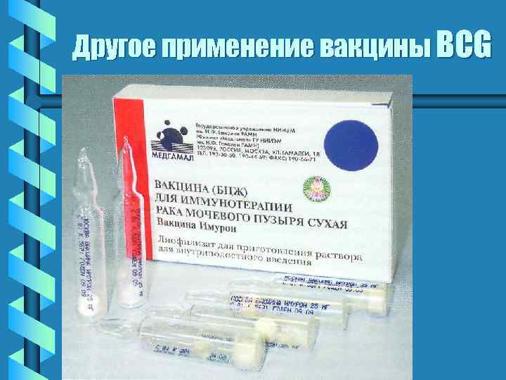 Другое применение вакцины BCG 
