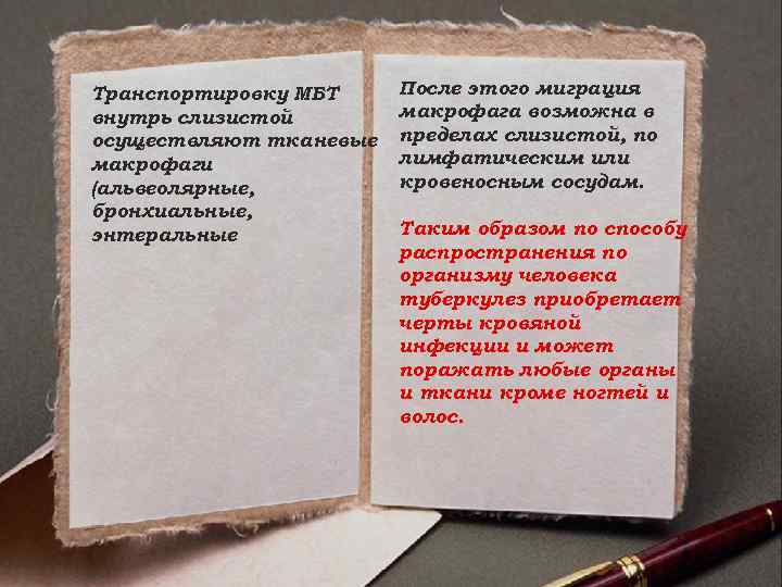 Транспортировку МБТ внутрь слизистой осуществляют тканевые макрофаги (альвеолярные, бронхиальные, энтеральные После этого миграция макрофага