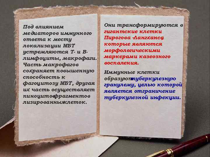 Под влиянием медиаторов иммунного ответа к месту локализации МБТ устремляются Т- и Влимфоциты, макрофаги.