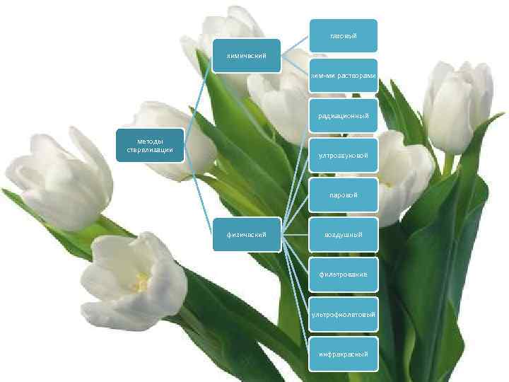 газовый химический хим-ми растворами радиационный методы стерелизации ултрозвуковой паровой физический воздушный фильтрование ультрофиолетовый инфракрасный