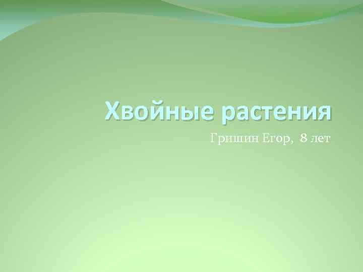 Хвойные растения Гришин Егор, 8 лет 