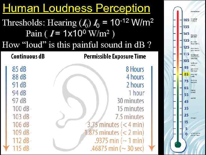 Human Loudness Perception Thresholds: Hearing (I 0) I 0 = 10 -12 W/m 2