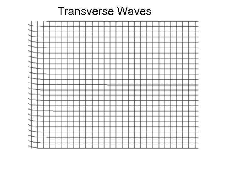 Transverse Waves 11 