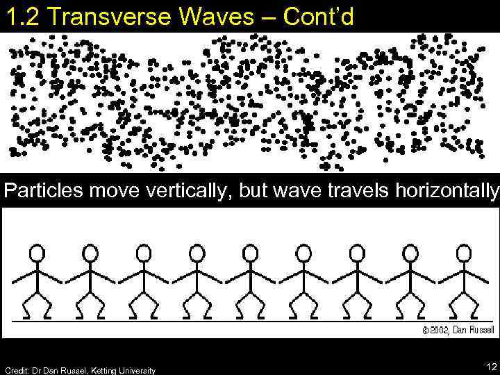 1. 2 Transverse Waves – Cont’d Particles move vertically, but wave travels horizontally Credit: