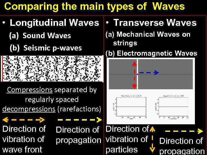 Comparing the main types of Waves • Longitudinal Waves • Transverse Waves (a) Sound