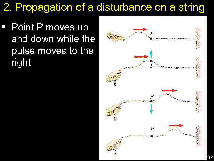 2. Propagation of a disturbance on a string § Point P moves up and