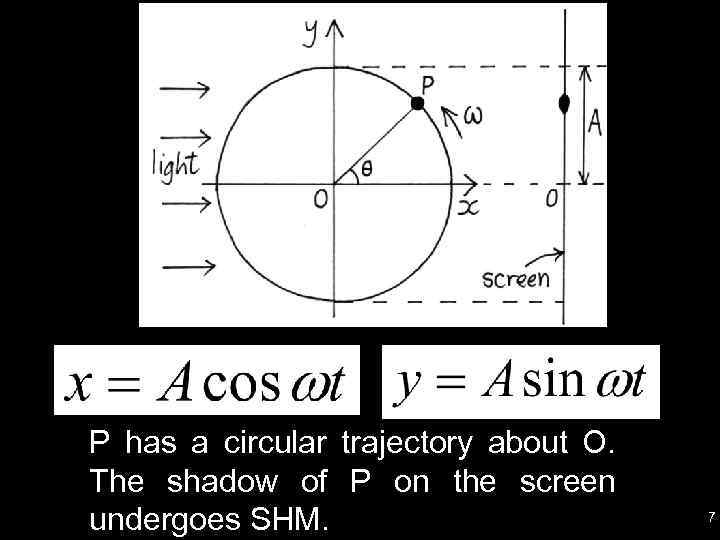 P has a circular trajectory about O. The shadow of P on the screen