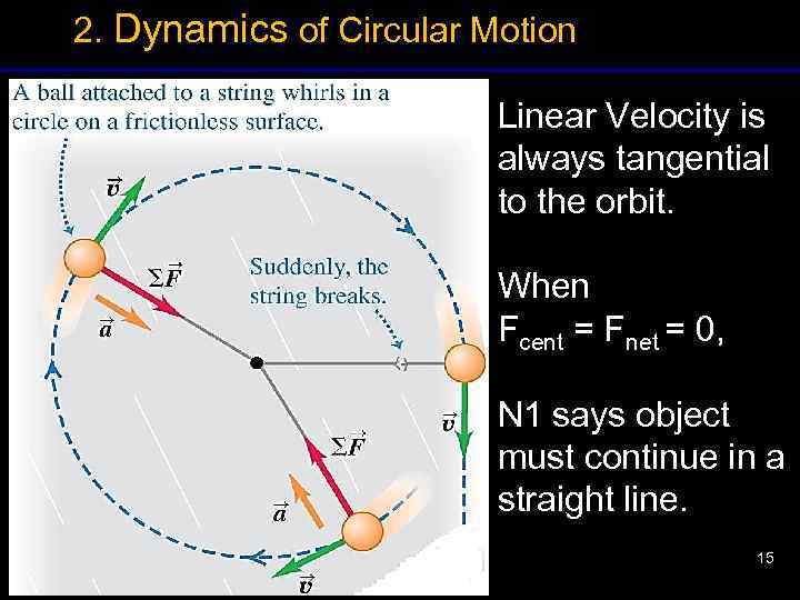 2. Dynamics of Circular Motion Linear Velocity is always tangential to the orbit. When