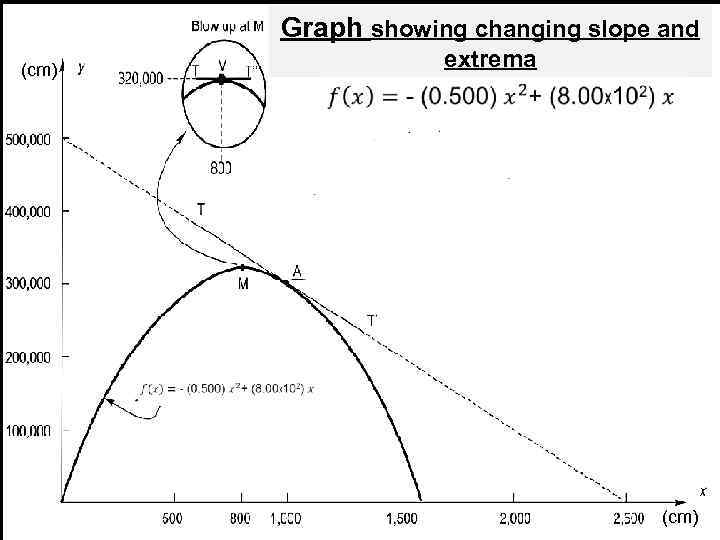 Graph showing changing slope and extrema (cm) 29 (cm) 