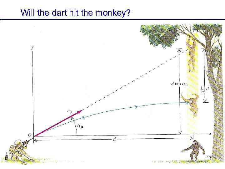 Will the dart hit the monkey? 17 