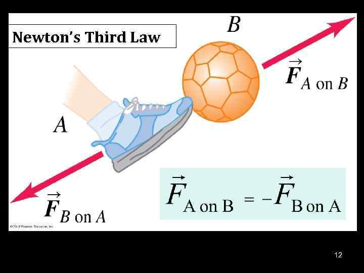 Newton’s Third Law 12 