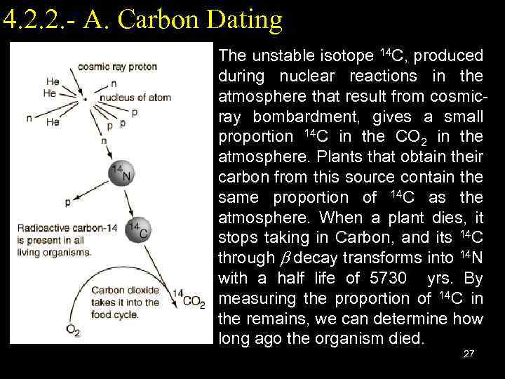 4. 2. 2. - A. Carbon Dating The unstable isotope 14 C, produced during