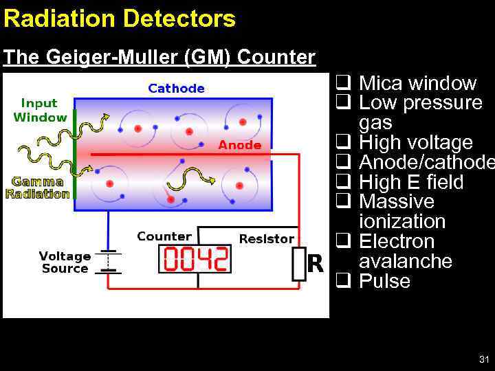 Radiation Detectors The Geiger-Muller (GM) Counter q Mica window q Low pressure gas q