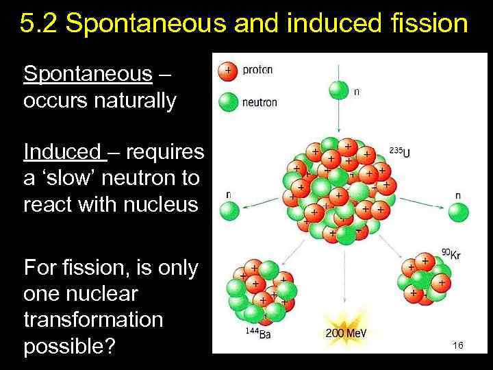 5. 2 Spontaneous and induced fission Spontaneous – occurs naturally Induced – requires a