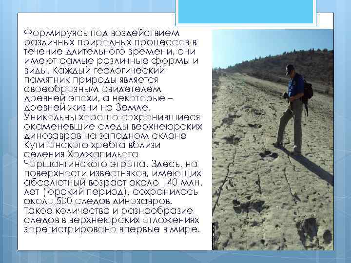 Формируясь под воздействием различных природных процессов в течение длительного времени, они имеют самые различные