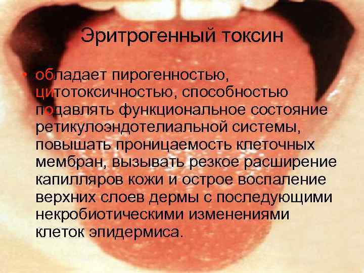 Эритрогенный токсин • обладает пирогенностью, цитотоксичностью, способностью подавлять функциональное состояние ретикулоэндотелиальной системы, повышать проницаемость