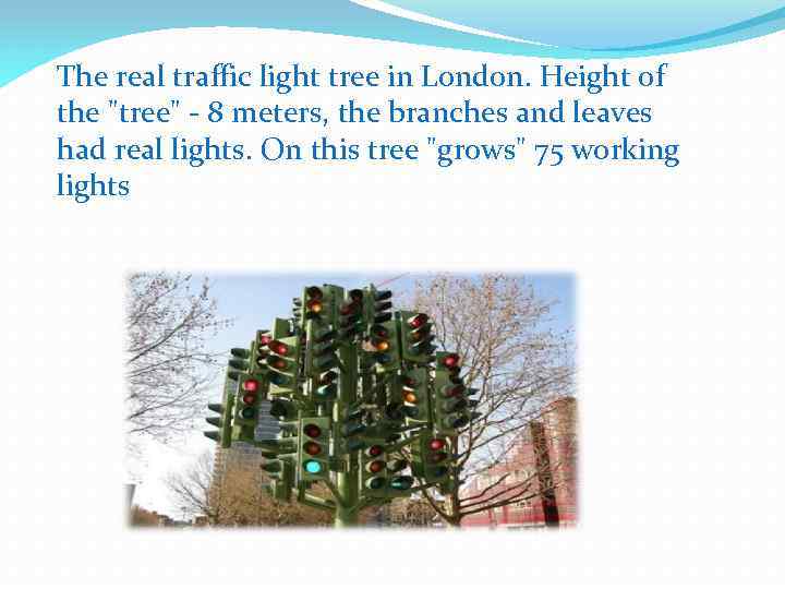 The real traffic light tree in London. Height of the 