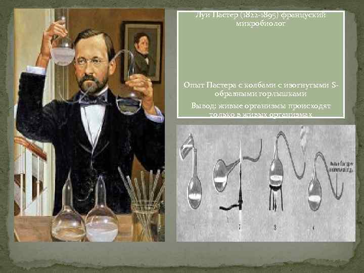 Луи Пастер (1822 -1895) француский микробиолог Опыт Пастера с колбами с изогнутыми Sобразными горлышками