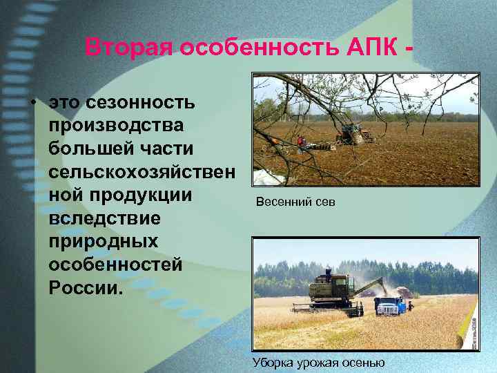 Вторая особенность АПК • это сезонность производства большей части сельскохозяйствен ной продукции вследствие природных