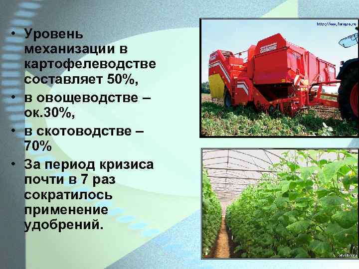  • Уровень механизации в картофелеводстве составляет 50%, • в овощеводстве – ок. 30%,