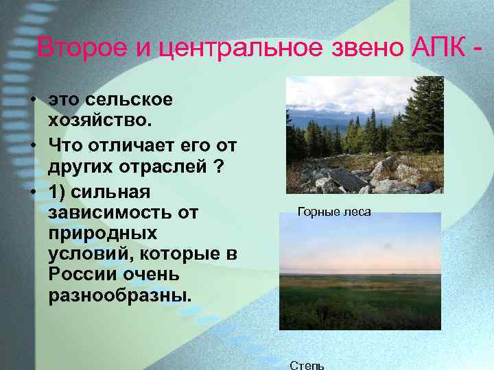 Второе и центральное звено АПК • это сельское хозяйство. • Что отличает его от