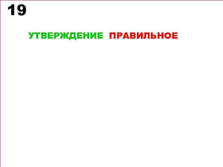 19 УТВЕРЖДЕНИЕ ПРАВИЛЬНОЕ 