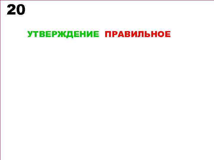 20 УТВЕРЖДЕНИЕ ПРАВИЛЬНОЕ 